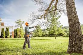 Mulching Services in Caruthers, CA